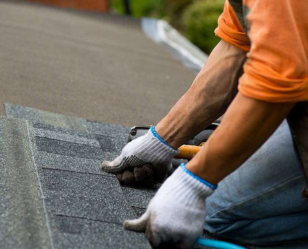 Professional Roofing Contractor in Sebring, FL